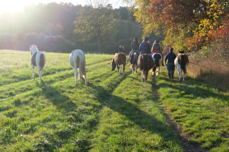 Auszeit mit Pferden unterwegs, Foto: Lisa Wiese, Lizenz: Lisa Wiese