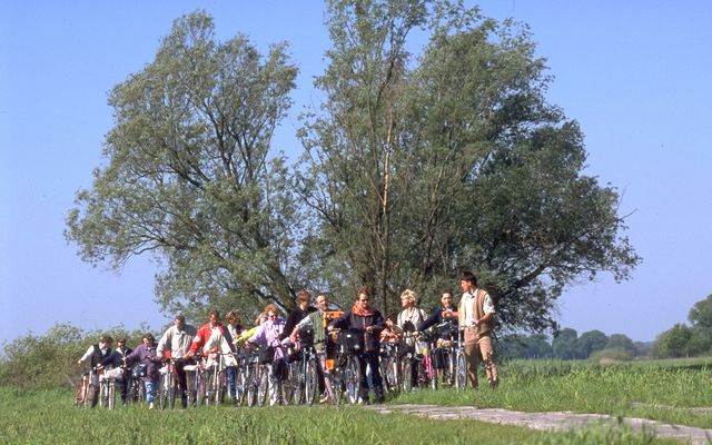 Radtour im Nationalpark Unteres Odertal (c) Archiv LUGV